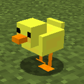 ducky