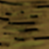 log_jungle.png