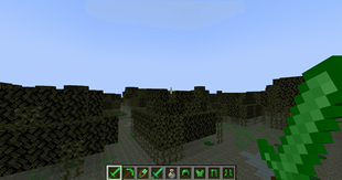Emerald Pack Presentation