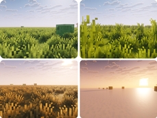 Spring Grass