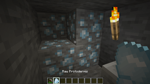 Raw Protodermis.png