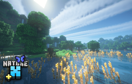 Nature X Plus: River