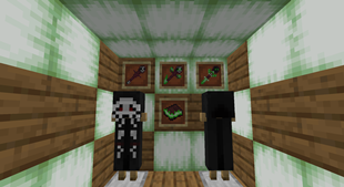 Necromancer Staffs + Necromancer Spellbook + Cultist Outfits