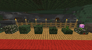 block showcase.png