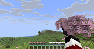 In game look