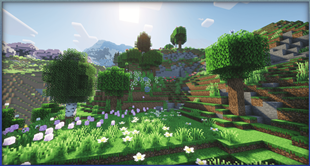 Blooming Hills