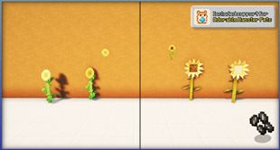 Sunflower Rework