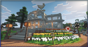 Tulip Garden