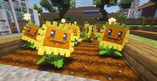 Hungry Plants.png