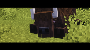 More Wildlife