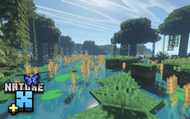 Nature X Plus: Swamp
