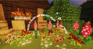 Breed Flowers