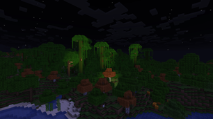 Shaders OFF