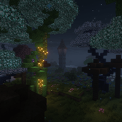 Enchanted Tangle