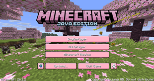 main title