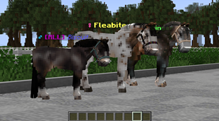 Photo without shader