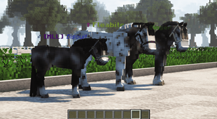 Photo with shader