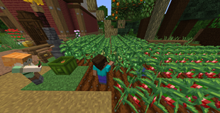 pic1.png