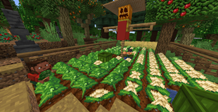 pic4.png