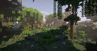 Magical detailed forests!