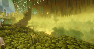 Beautiful and detailed biomes!