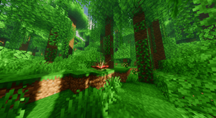 JungleFloor.png