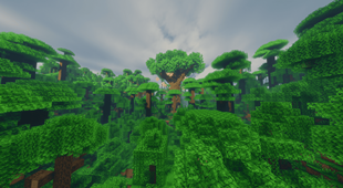 TreeHouseDay.png