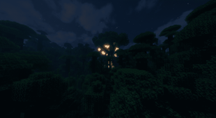 TreeHouseNight.png