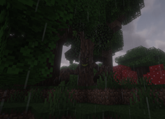 Evil Tree