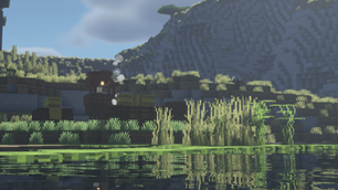 Enjoy The Views While You Still Can