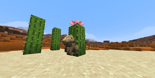 Husk Variant