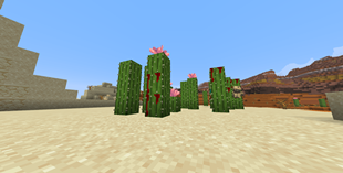 Bloody Variants
