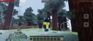 Screenshot 12