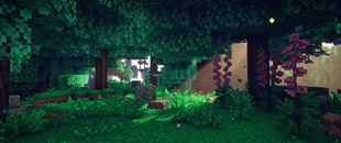 Beautiful Overworld Biomes