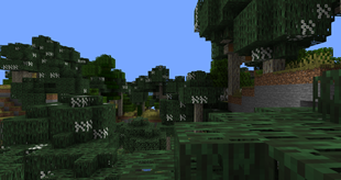 EucalyptusForestSubtropical.png