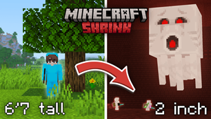 MinecraftButWeShrinkThumbnail (3).png