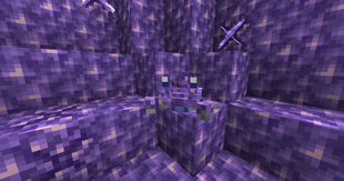 Amthyst Crab