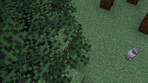 Side-down variant bushy leaves