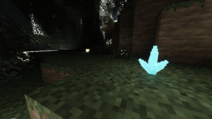 Crystal and Shrooms in Forest