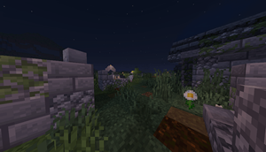 graveyard