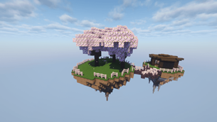 Public Server