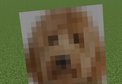 Totem Pop