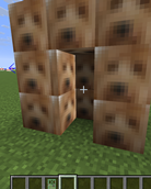Block and Door!