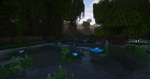 Swamp lily pads.png