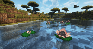 Savanna lily pads.png