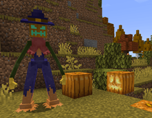 image-24.png