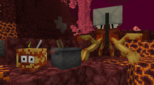 image-12.png