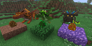 Terra, Forest, and Crystal Dragon