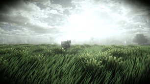 Grass