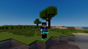 Diamond Sword -Ingame